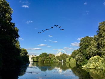 Birds flying over lake against sky