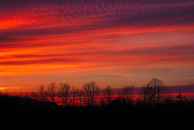 Silhouette trees against sky during sunset