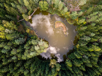 High angle view of waterfall amidst trees in forest