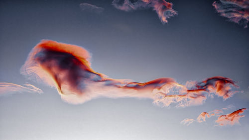 Close-up of fish swimming against sky