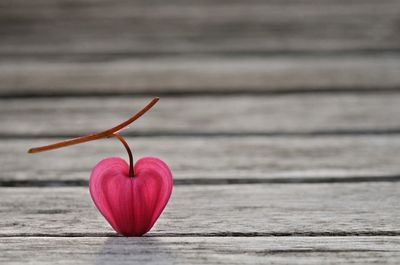 Close-up of red heart shaped flower on table