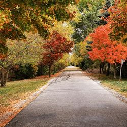 Road amidst trees during autumn