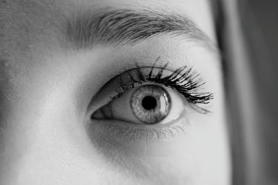 Close-up of human eye