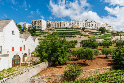 Locorotondo and the itria valley. between white houses and trulli. puglia, italy