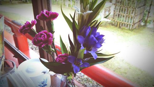 Close-up of purple flowers