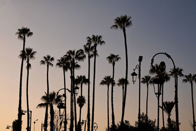 Low angle view of silhouette palm trees against clear sky