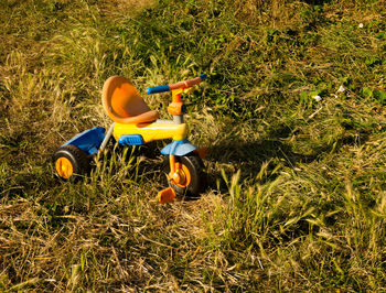 Side view of man riding toy car on field