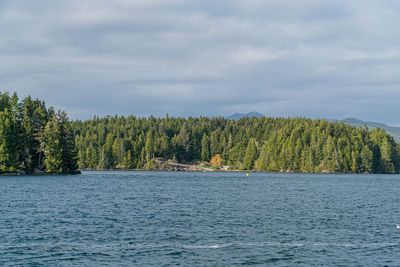 Scenic view of lake in forest against sky