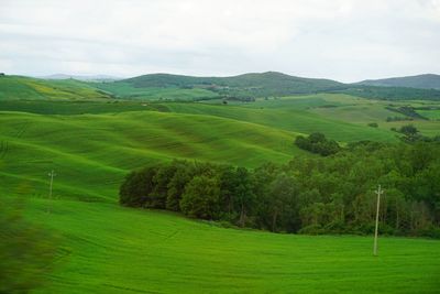 Scenic view of green landscape against sky