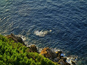 High angle view of rocks on sea