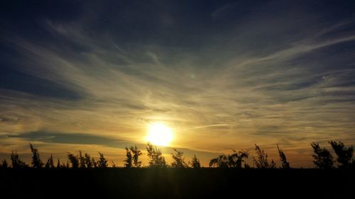 Silhouette trees on landscape against sky at sunset
