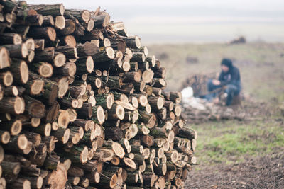Stack of log on field