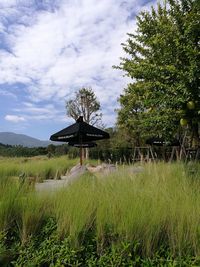 Scenic view of farm against sky