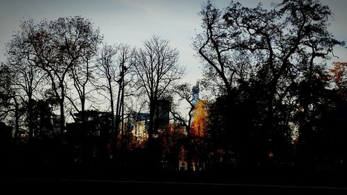 Low angle view of bare trees against sky