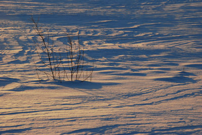 Scenic view of lake against sky during winter