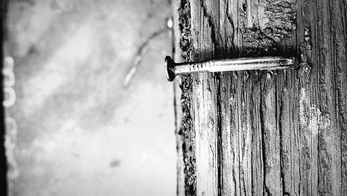 Close-up of wooden door