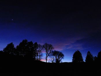 Low angle view of silhouette trees against sky at night