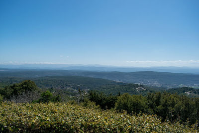 Scenic view of landscape against blue sky