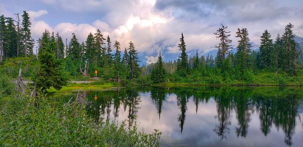 Scenic view of lake by trees against sky