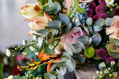 High angle view of pink flowering plant