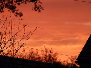 Low angle view of silhouette plants against orange sky