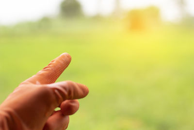 Close-up of hand holding leaf