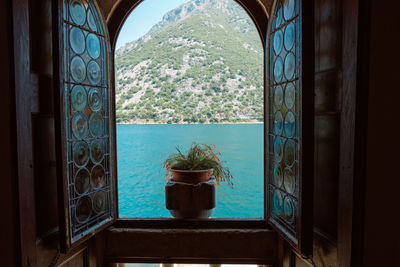 Potted plants on window sill of house