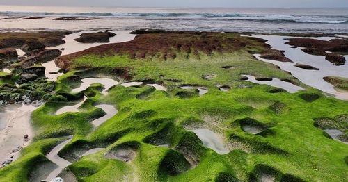 High angle view of sea shore