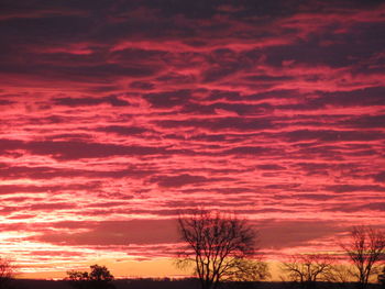 Low angle view of silhouette trees against dramatic sky