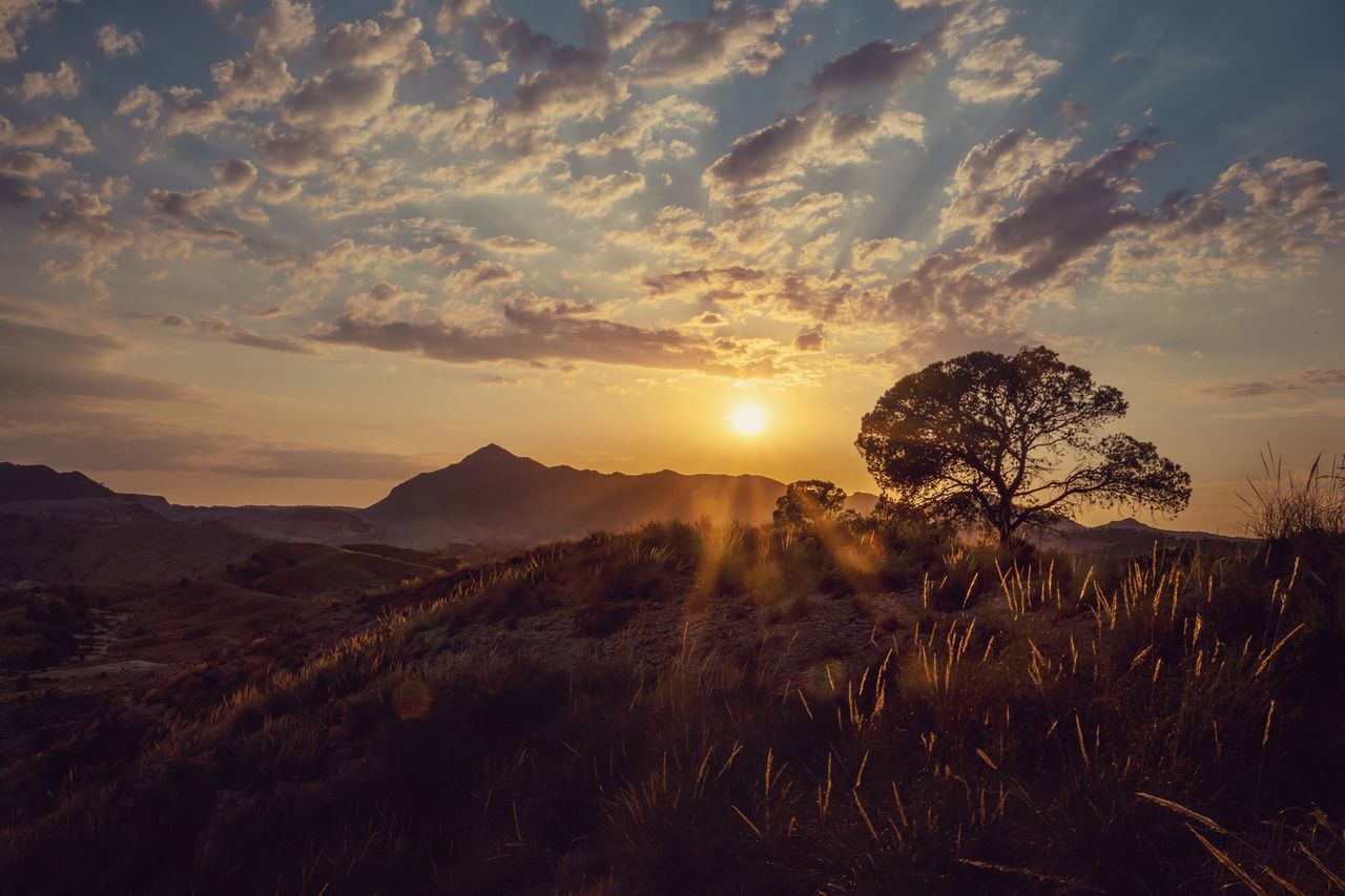 SCENIC VIEW OF FIELD AGAINST BRIGHT SUN DURING SUNSET