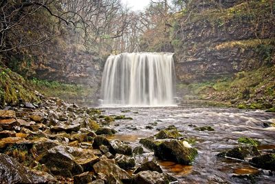 View of waterfall in forest