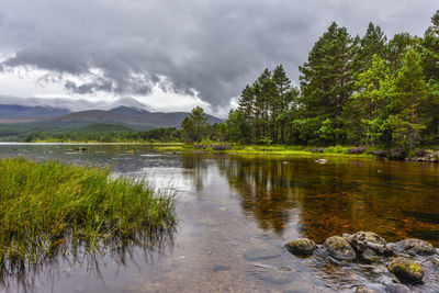 Scenic view of lake by trees against cloudy sky in forest