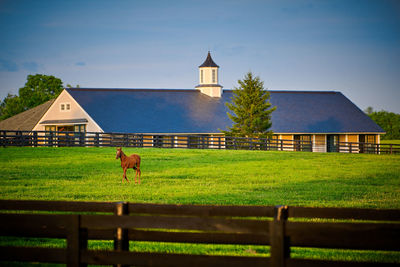 View of a house on a field