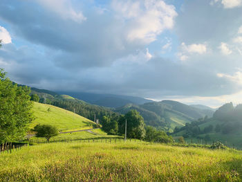 Scenic view of landscape against sky