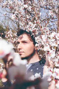 Portrait of cherry blossom on tree