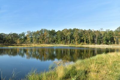 Scenic view of lake by trees against sky