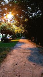 Empty road along trees