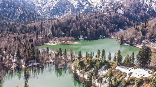 Aerial view of lake amidst trees