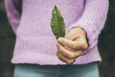 Midsection of woman holding plant