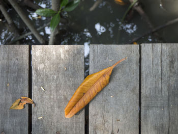 High angle view of dry leaves on table