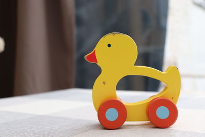 Close-up of a parrot on table