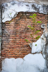 Close-up of weathered wall