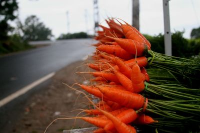 Carrots sales at munnar, kerala, india