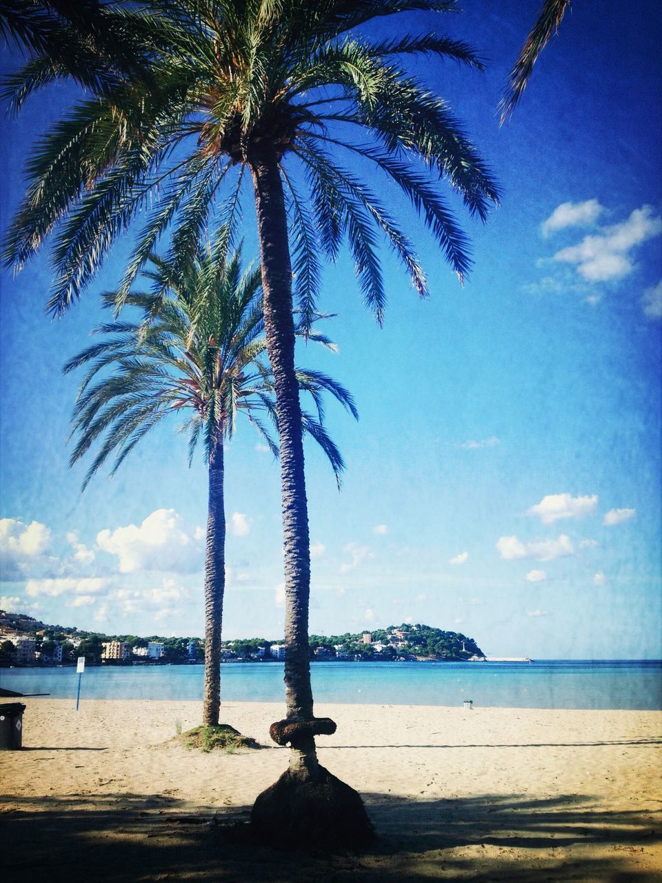 sky, low angle view, palm tree, cloud - sky, built structure, blue, tree, architecture, water, cloud, outdoors, building exterior, day, cloudy, nature, reflection, sea, tall - high, leisure activity