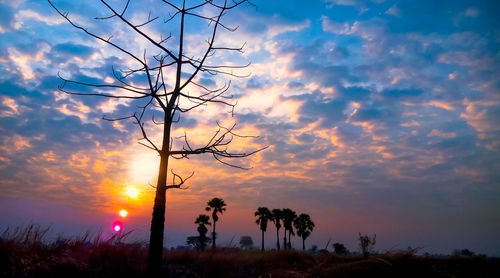 Low angle view of silhouette trees against sky during sunset