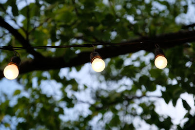 Low angle view of light bulb hanging from ceiling