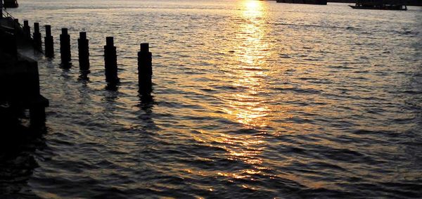 Wooden posts in sea