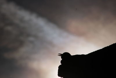 Low angle view of silhouette person against sky during sunset