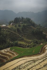 High angle view of agricultural field against sky