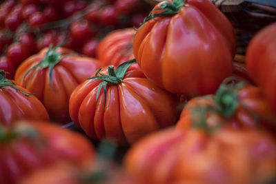 Close-up of tomatoes